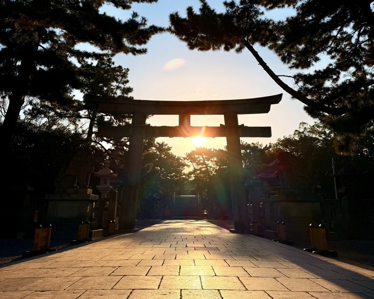 Torii gate at sunset in Japan